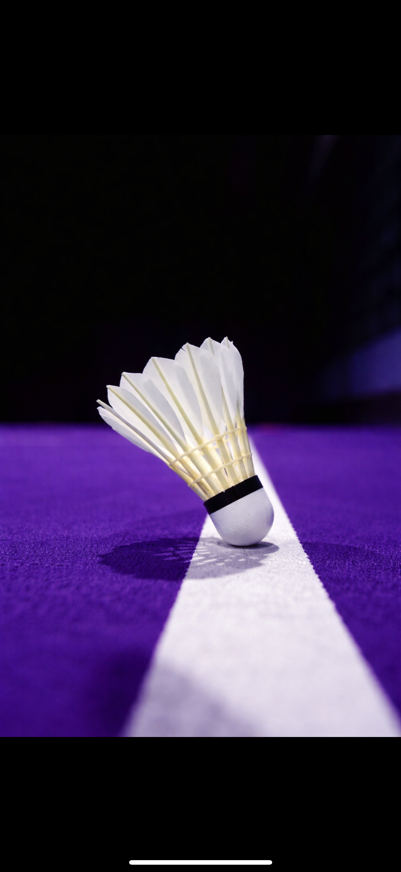volant badminton